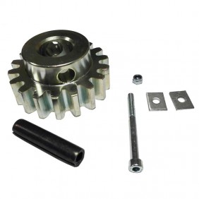 Came Pinion Step 4 for motors for BK 1200/1800 119RIBK002