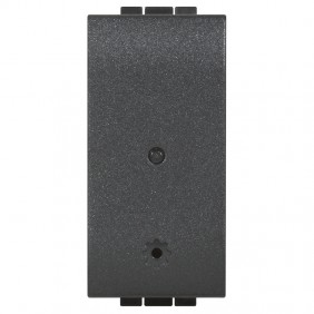 The module Socket is Connected Bticino Living Light Anthracite color L4531C