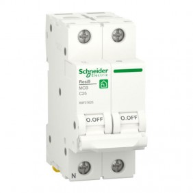 Schneider thermomagnetic circuit breaker 25A...