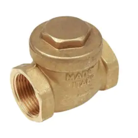Giacomini clapet check valve 1/2 inch N5Y003