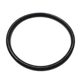 Pucci gasket O-ring 147 for removable seat and...